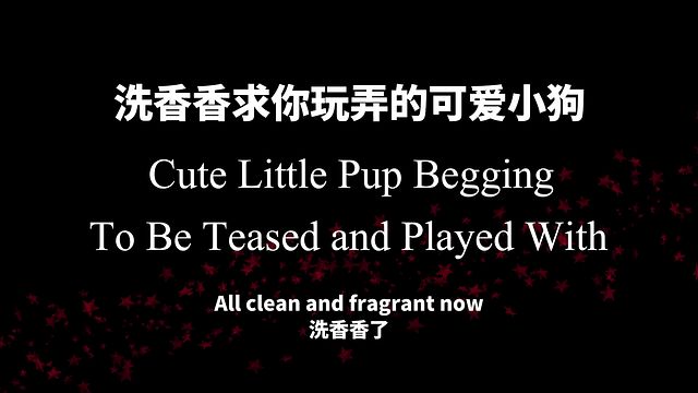 Cute Puppy Boyfriend