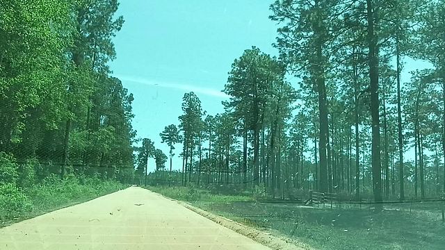BOUT TO MEET MY BOSS'S SUPER BEAUTIFUL WIFE ON DIRT ROAD!